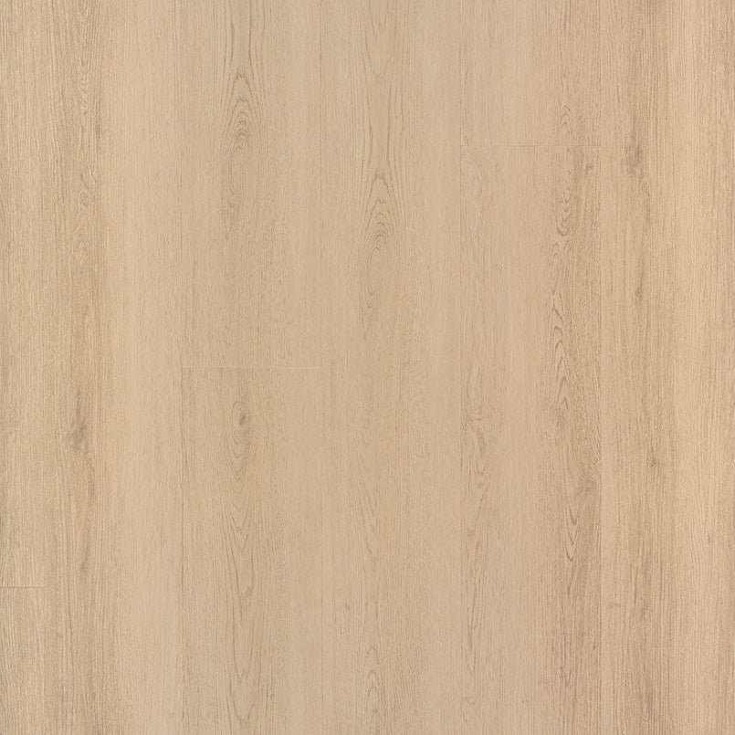 MSI Surfaces - Laurel Collection - Palmilla