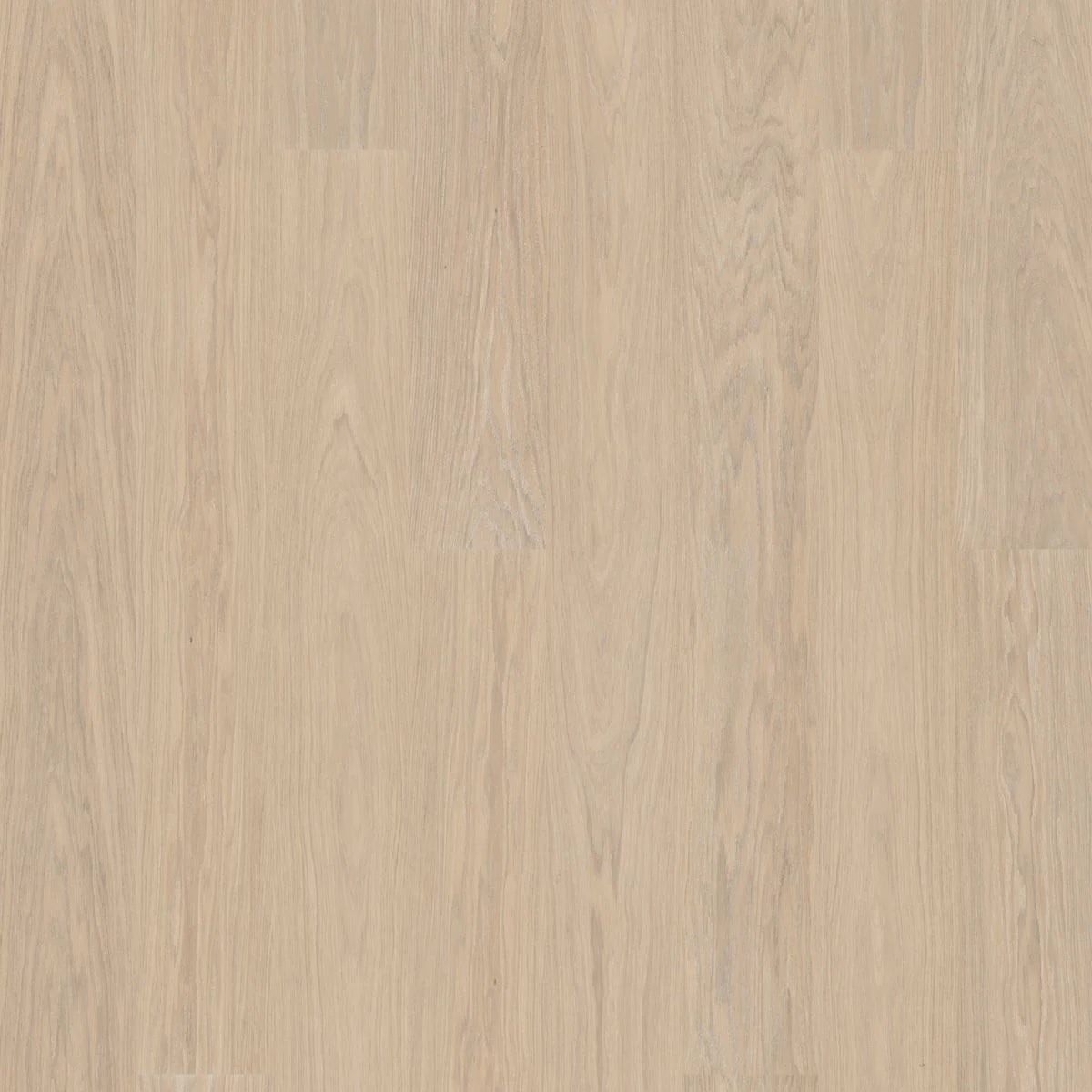 BJELIN - WOODURA - SELECT COLLECTION - XL FORMAT - OAK - POWDER WHITE