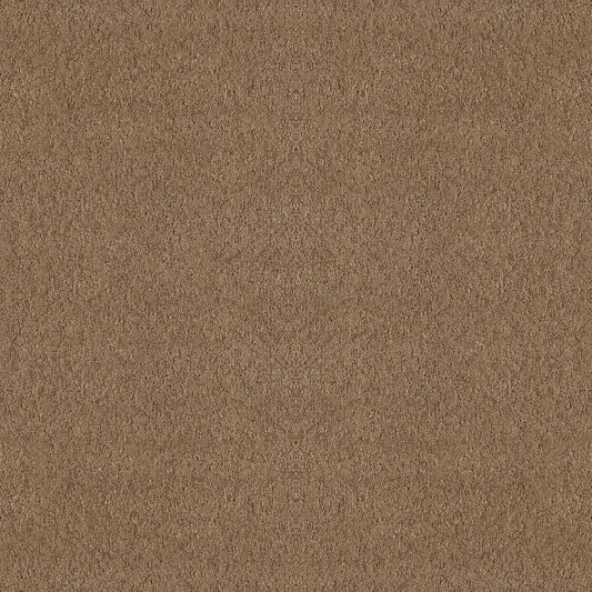Shaw Floors - Carpet - Foundations Collection  - Alluring Canvas - Raw Wood