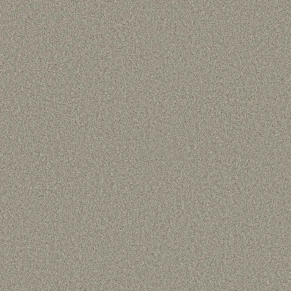 Shaw Floors - Carpet - COMFORTING II - Rustic