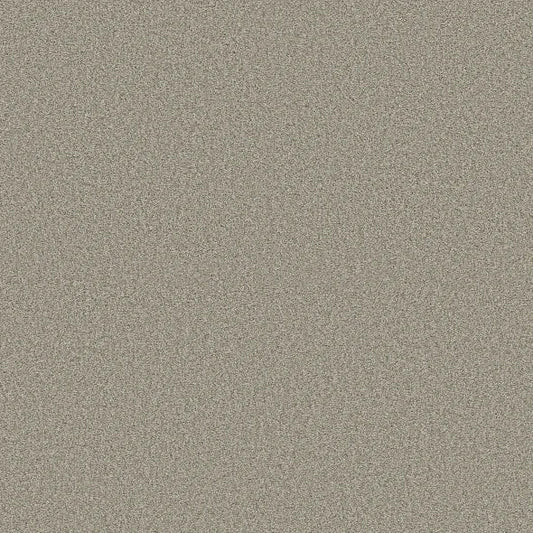 Shaw Floors - Carpet - COMFORTING I - Rustic