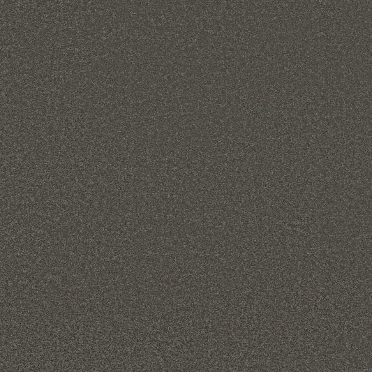 Shaw Floors - Carpet - Classics Collection  - Awaken Spirit I 12' - Rocky Slope