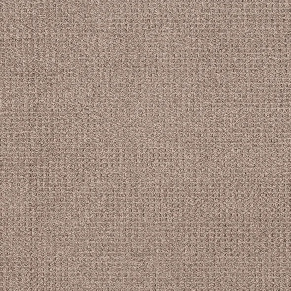 Shaw Floors - Carpet - Foundations Collection - Faint Intent - Raw Wood