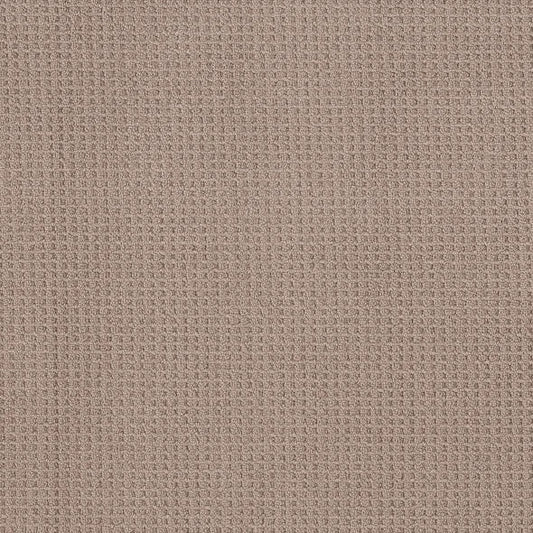 Shaw Floors - Carpet - Foundations Collection - Faint Intent - Raw Wood