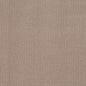 Shaw Floors - Carpet - Foundations Collection - Faint Intent - Raw Wood