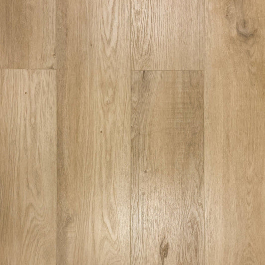 TURION - Provenance Collection - Scribe