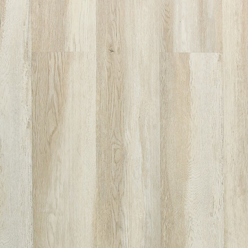 TURION - Forte Collection - Renwick