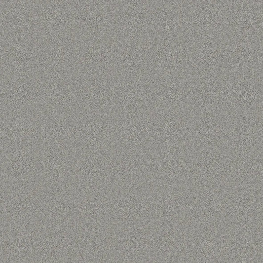 Shaw Floors - Carpet- Foundations Collection - HARMONIOUS II - Sentimental