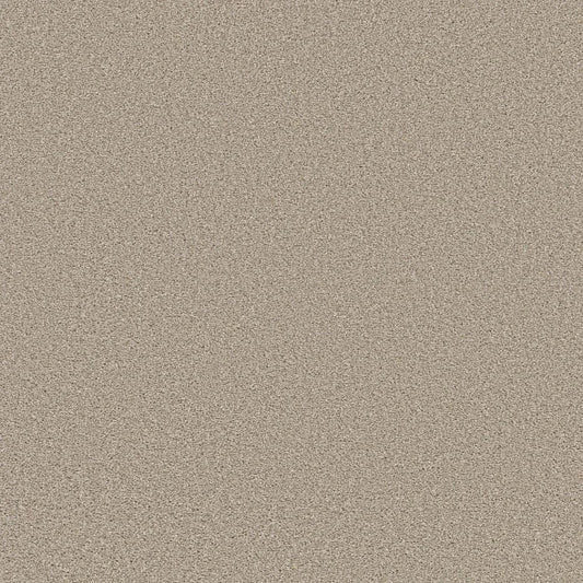 Shaw Floors - Carpet - Simply The Best  - TRUSOLUTIONS III - Sand