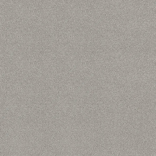 Shaw Floors - Carpet - COMFORTING I - Shimmer