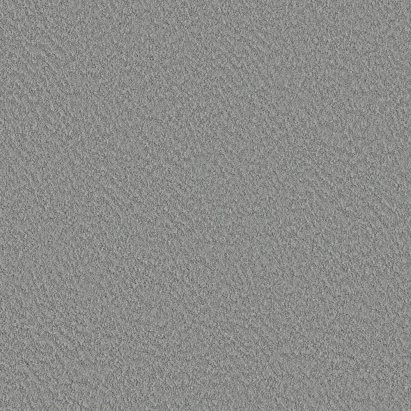 Shaw Floors - Carpet - Foundations Collection  - Alluring Canvas - Sentimental