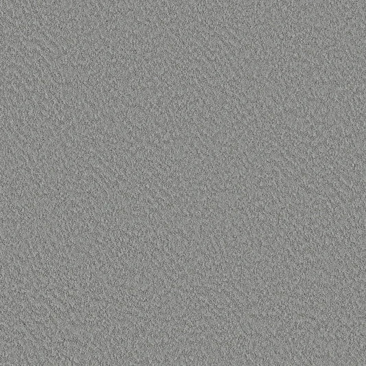 Shaw Floors - Carpet - Foundations Collection  - Alluring Canvas - Sentimental