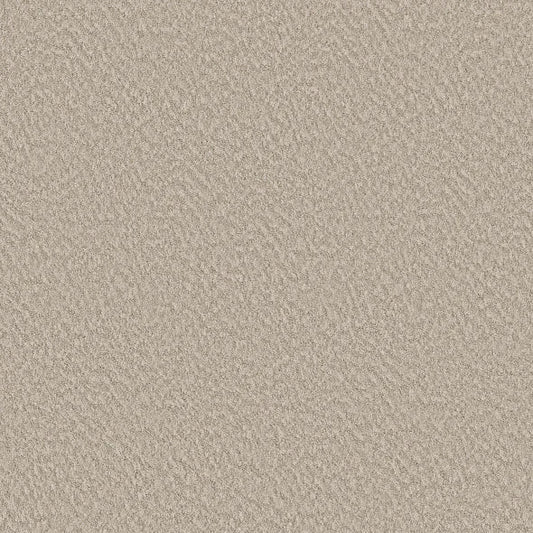 Shaw Floors - Carpet - Foundations Collection  - Alluring Canvas - Sandstone