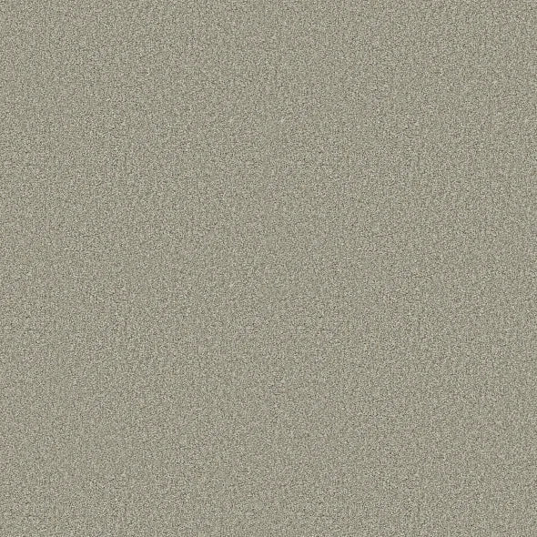 Shaw Floors - Carpet - COMFORTING II - Sage Brush