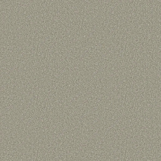 Shaw Floors - Carpet - COMFORTING I - Sage Brush