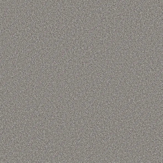 Shaw Floors - Carpet - Simply The Best  - TRUSOLUTIONS III - Storm Cloud