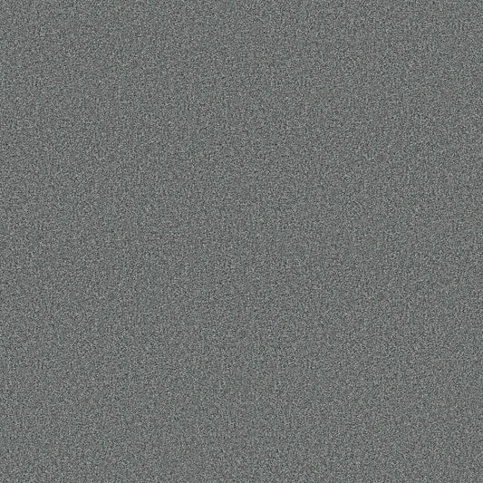 Shaw Floors - Carpet - COMFORTING I - Storm Cloud