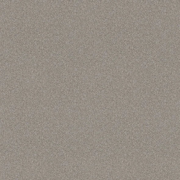 Shaw Floors - Carpet - Simply The Best  - Attainable - Soft Fleece