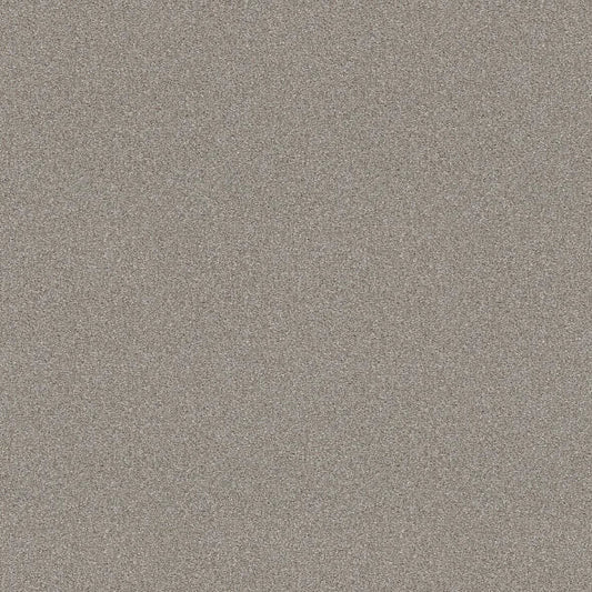 Shaw Floors - Carpet - Simply The Best  - Attainable - Soft Fleece