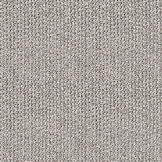 Shaw Floors - Carpet - Foundations Collection - Faint Intent - Silver Lining