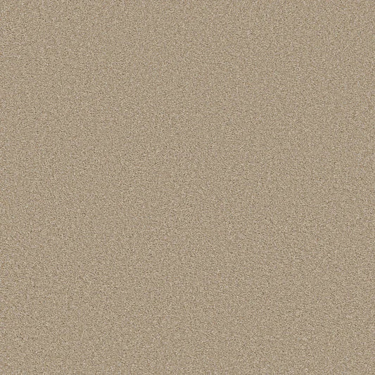 Shaw Floors - Carpet - Simply The Best  - TRUSOLUTIONS III - Sheer Natural