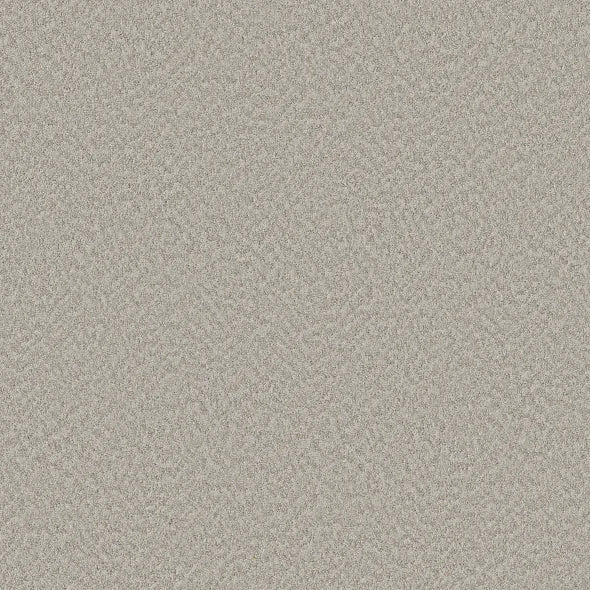 Shaw Floors - Carpet - Foundations Collection  - Alluring Canvas - Split Sediment