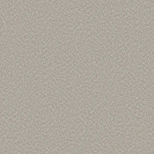Shaw Floors - Carpet - Foundations Collection  - Alluring Canvas - Split Sediment