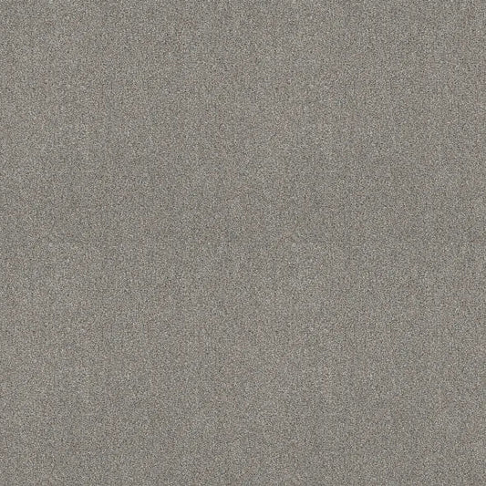 Shaw Floors - Carpet - COMFORTING I - Stepping Stone