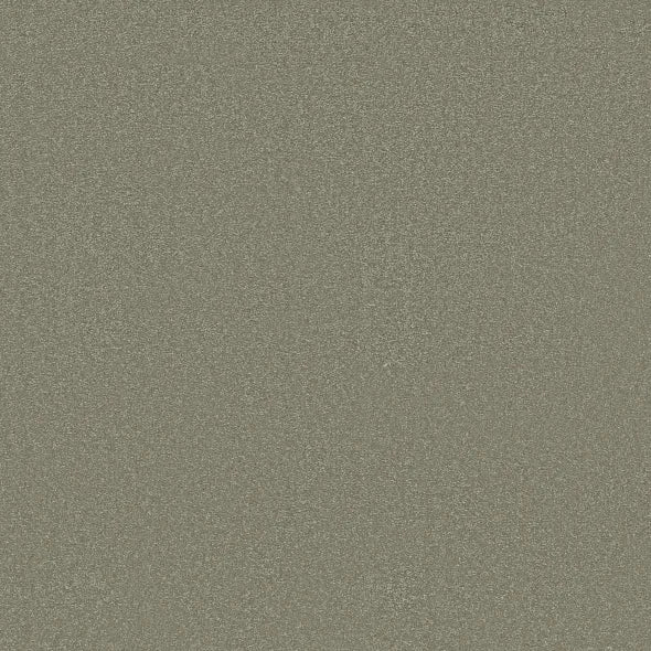 Shaw Floors - Carpet - Classics Collection  - Awaken Spirit I 12' - Silver Sage