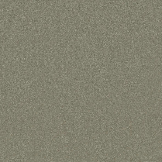 Shaw Floors - Carpet - Classics Collection  - Awaken Spirit II - 15' - Silver Sage