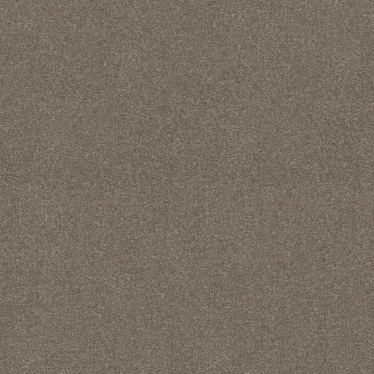 Shaw Floors - Carpet - Simply The Best  - Attainable - Smooth Taupe