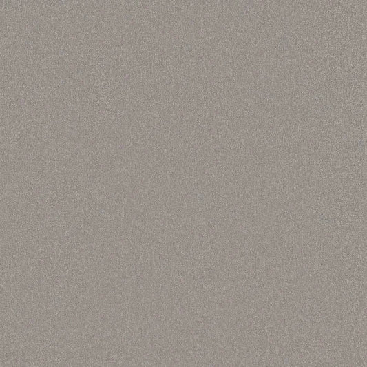 Shaw Floors - Carpet - Classics Collection  - Awaken Spirit II - 12' - Subtle Touch