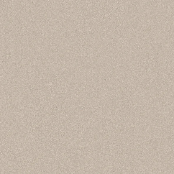 Shaw Floors - Carpet - Classics Collection  - Awaken Spirit II - 15' - Spun Wool