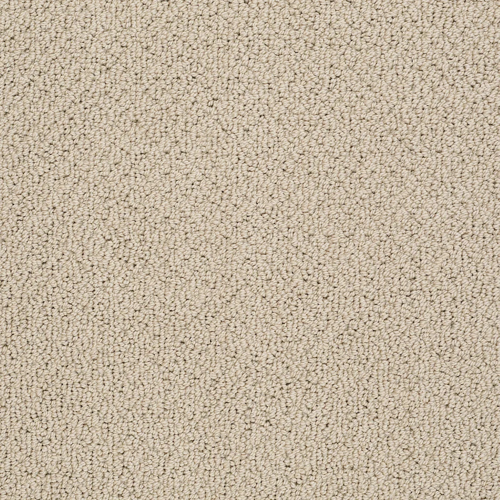 Shaw Floors - Carpet- Foundations Collection - Smart Thinking - Safari
