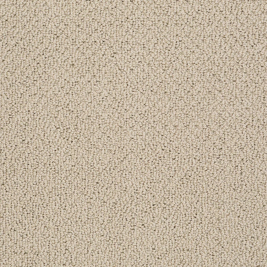 Shaw Floors - Carpet- Foundations Collection - Smart Thinking - Safari