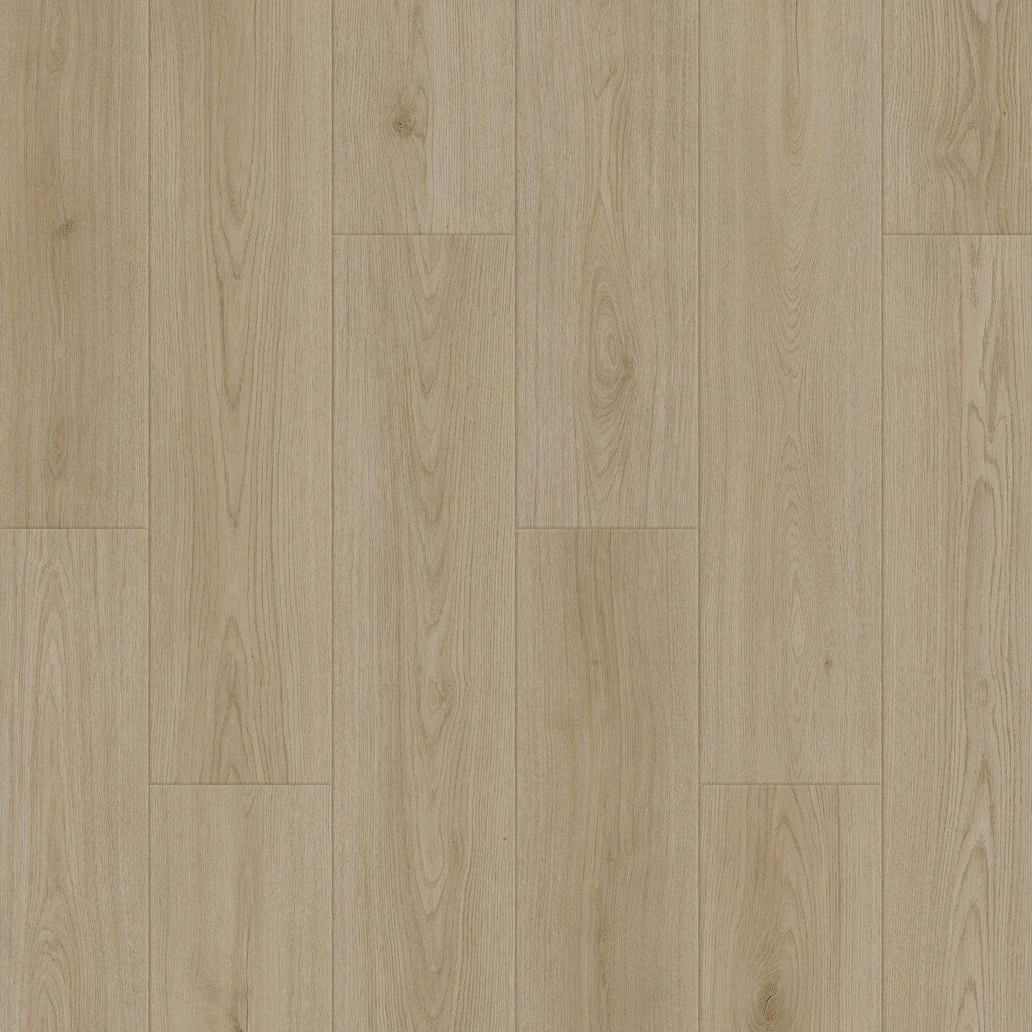 Caledon - Aqua X Collection - Sand Dune