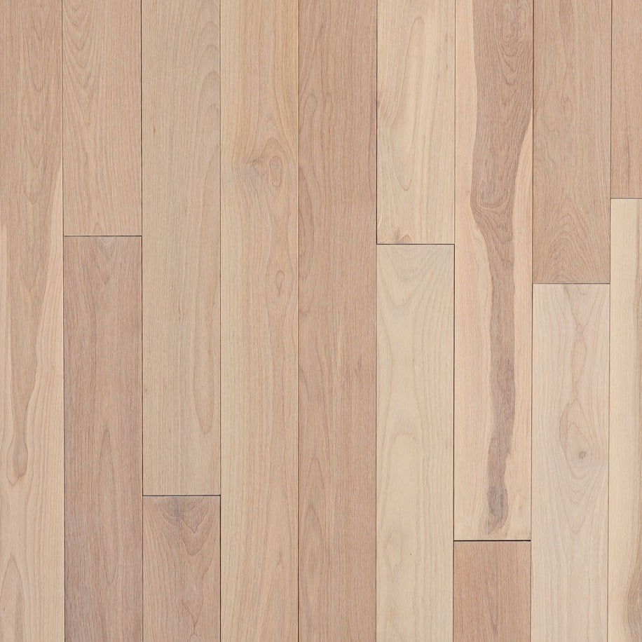 Wickham - Domestic Collection - Cottage Grade - 3 1/4" - Birch - Sandbank