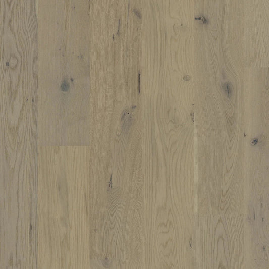 BIYORK - Nouveau 7 Prelude - Sandy Dream