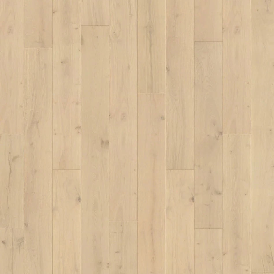 Caledon - Origins Collection - Shell Beach