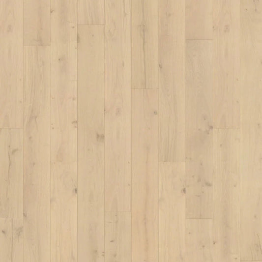 Caledon - Origins Collection - Shell Beach