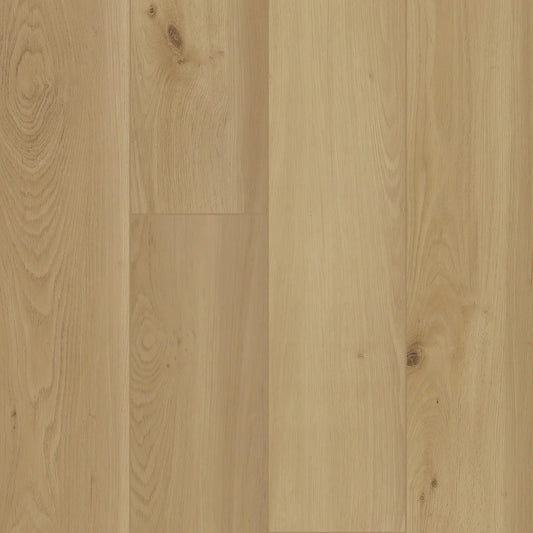 BIYORK - HydroGen 8 - Silent Morning