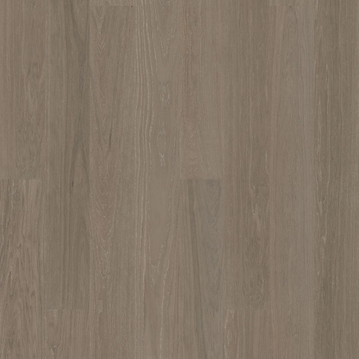 BJELIN - WOODURA - CONTRAST COLLECTION - XL FORMAT - OAK - SILVER