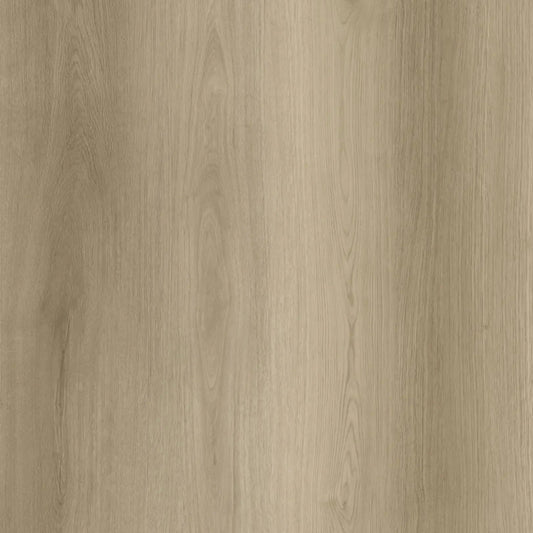 Goodfellow - Arctik Collection - Stavern