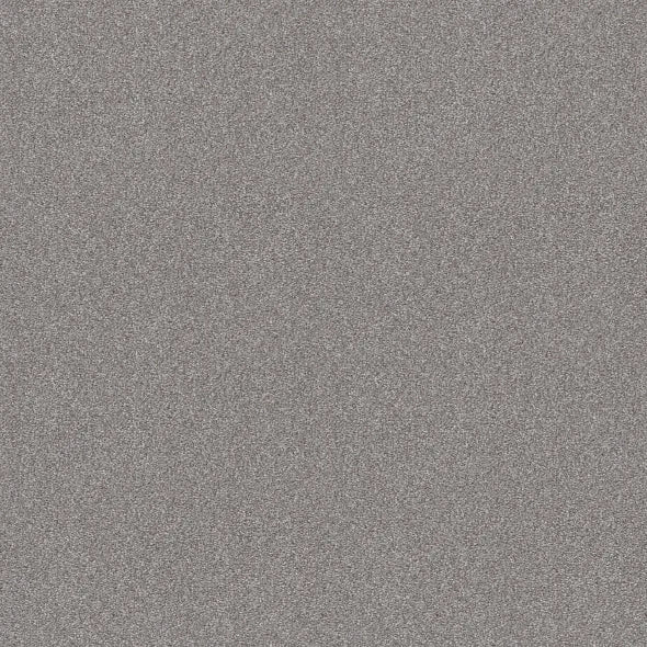 Shaw Floors - Carpet - Simply The Best  - Attainable - Sterling