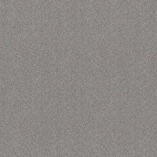 Shaw Floors - Carpet - Simply The Best  - Attainable - Sterling