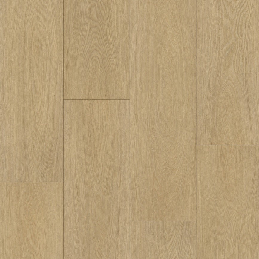 Caledon - ARTIMIS Collection - Stormy Dawn