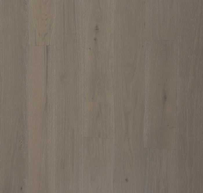 BIYORK - Nouveau 7 Collection - Sunlit Ivory