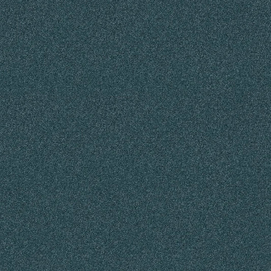 Shaw Floors - Carpet - COMFORTING I - Tailwind