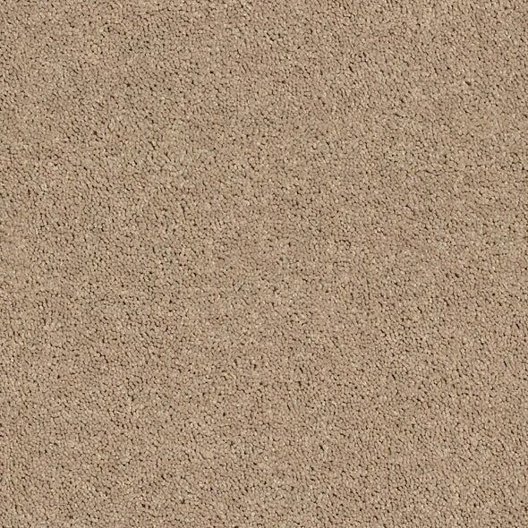 Shaw Floors - Carpet - Full Court 12' - Tassel
