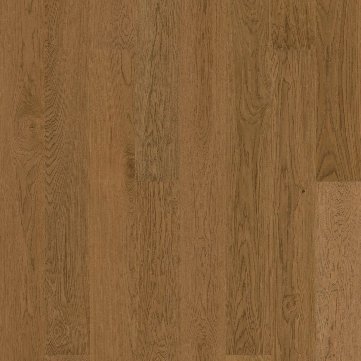 BJELIN - WOODURA - NATURE COLLECTION - XL FORMAT - OAK - TERRA BROWN